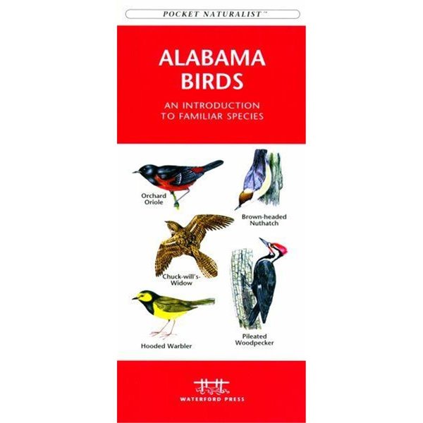 Waterford Press Waterford Press WFP1583551301 Alabama Birds Book: An Introduction to Familiar Species (A Pocket Naturalist Guide) WFP1583551301